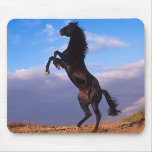Alfombrilla De Ratón Stallion negro