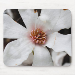 Alfombrilla De Ratón Star Magnolia Mouse Pad