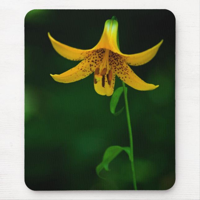 Alfombrilla De Ratón Star Pose Mousepad (Frente)