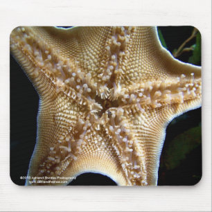 Alfombrilla De Ratón Starfish Mousepad
