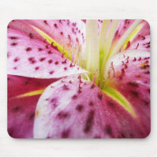 Alfombrilla De Ratón Stargazer Lily Bright Magenta Floral
