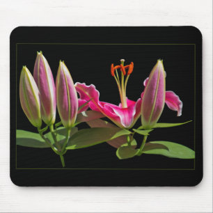 Alfombrilla De Ratón Stargazer Lily Buds y Bloom