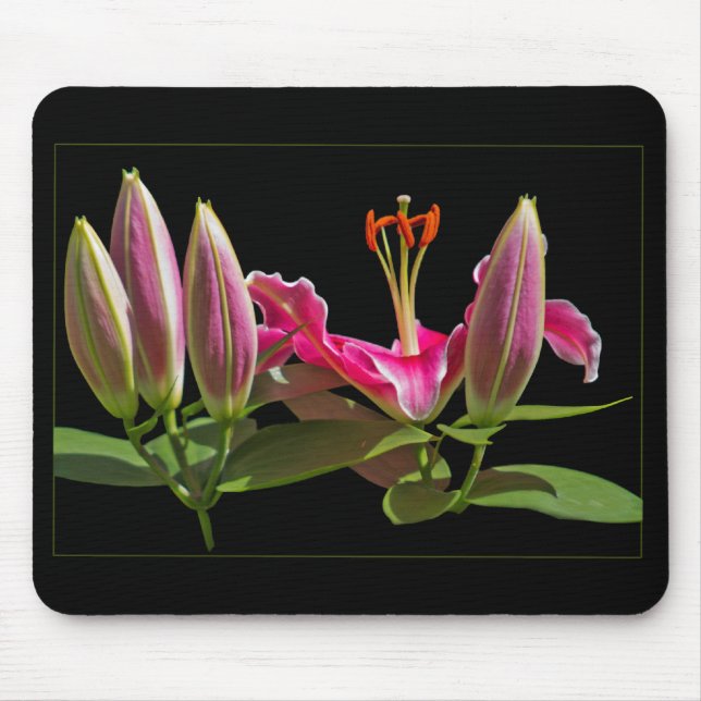 Alfombrilla De Ratón Stargazer Lily Buds y Bloom (Frente)