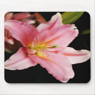 Alfombrilla De Ratón "Stargazer" Mousepads