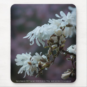 Alfombrilla De Ratón Starry Magnolia 5780