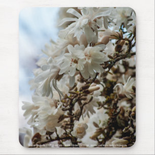 Alfombrilla De Ratón Starry Magnolia 5781