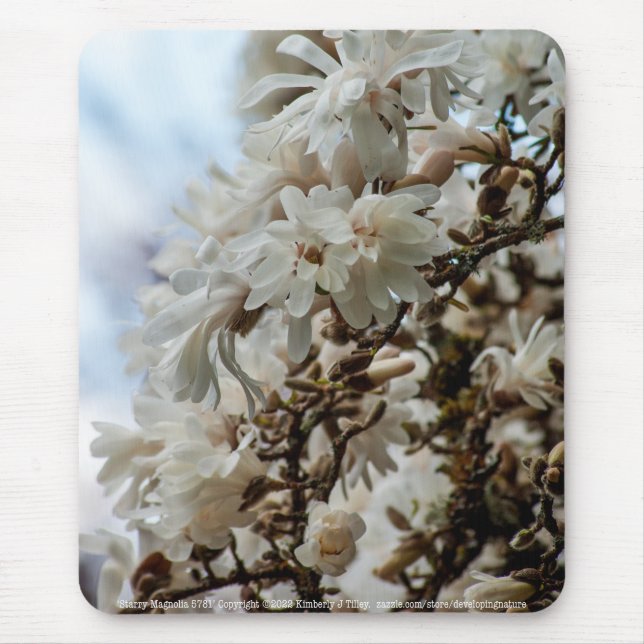 Alfombrilla De Ratón Starry Magnolia 5781 (Frente)