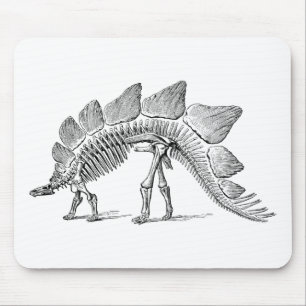 Alfombrilla De Ratón Stegosaurus Dinosaur Skeleton Fossil