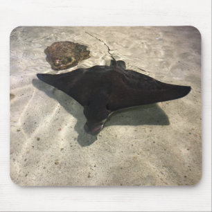 Alfombrilla De Ratón Stingray