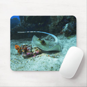 Alfombrilla De Ratón Stingray en movimiento - Foto tomada en el Triángu