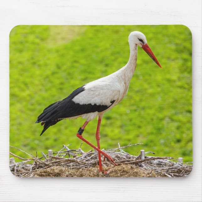 Alfombrilla De Ratón Storch im Nest mit Küken (Frente)