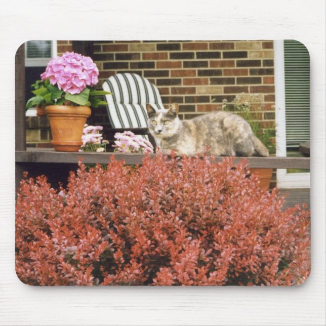 Alfombrilla De Ratón Strinka (Frente)