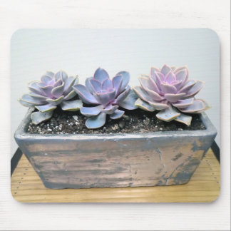 Alfombrilla De Ratón Succulent en plata