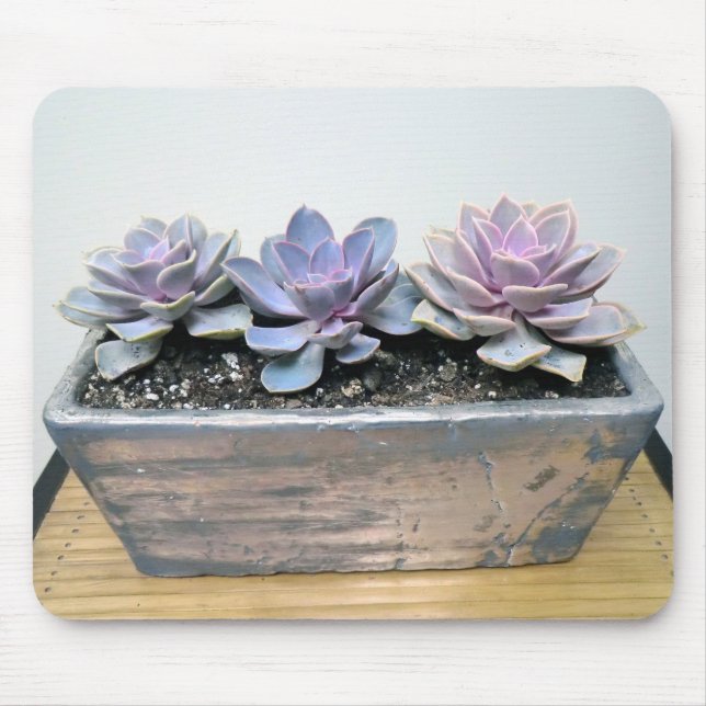Alfombrilla De Ratón Succulent en plata (Frente)
