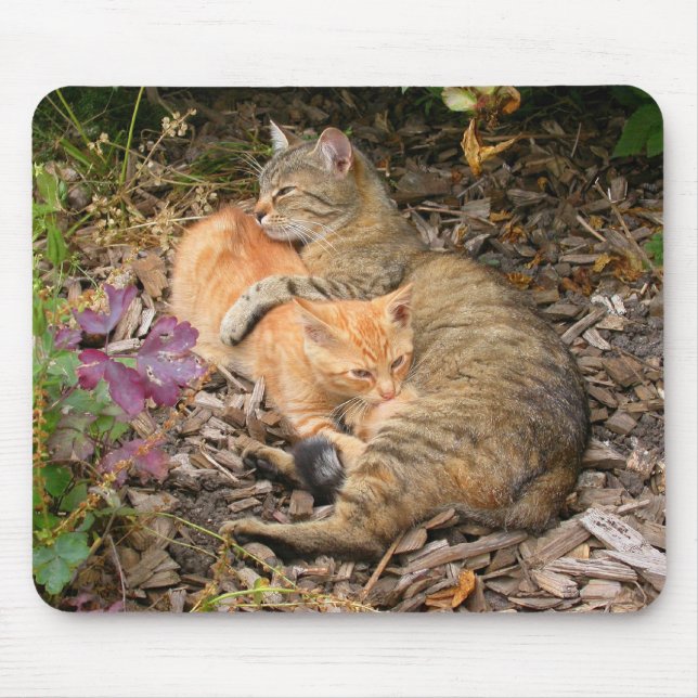 Alfombrilla De Ratón Suckling Ginger Cat (Frente)