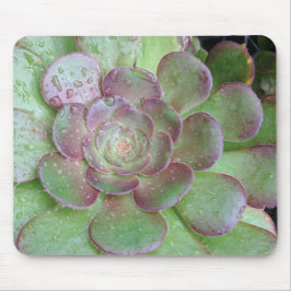 Alfombrilla De Ratón Suculento