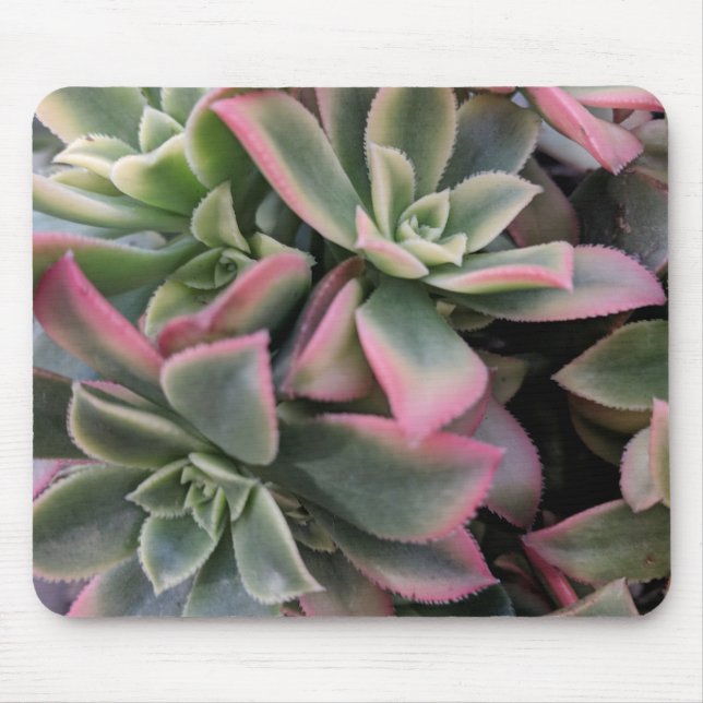 Alfombrilla De Ratón Suculento (Frente)