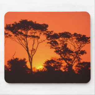 Alfombrilla De Ratón Sudáfrica.  Atardecer africano.