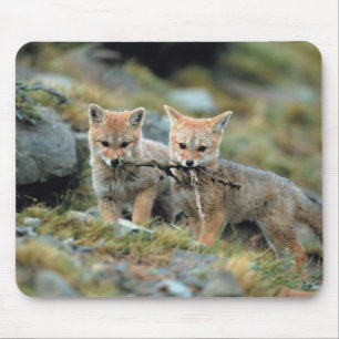 Alfombrilla De Ratón Sudamérica, Chile, Torres del Paine Nacional