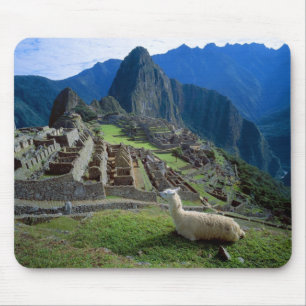 Alfombrilla De Ratón Sudamérica, Perú. Una llama descansa en una colina