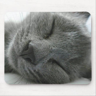 Alfombrilla De Ratón Sueño del gatito