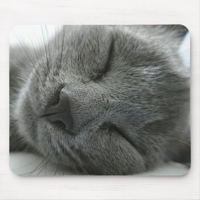 Alfombrilla De Ratón Sueño del gatito (Frente)