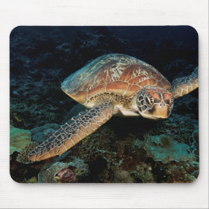 Alfombrilla De Ratón Sulawesi Tortuga Verde del Mar