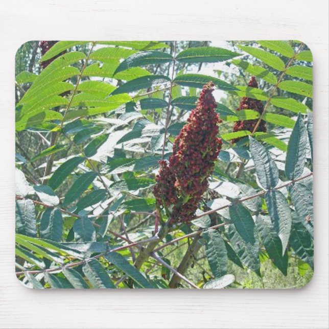 Alfombrilla De Ratón Sumac Berries Mousepad (Frente)