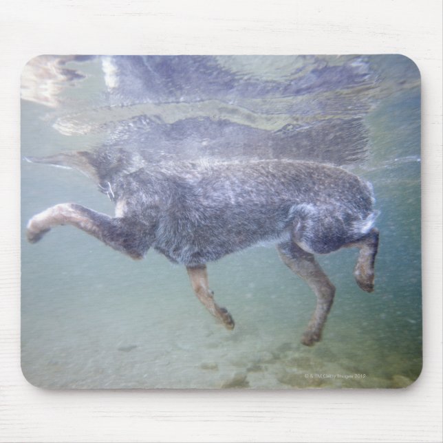 Alfombrilla De Ratón Sun Valley, Idaho, EE.UU. (Frente)