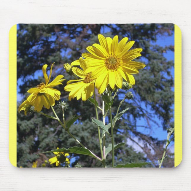 Alfombrilla De Ratón Sunflowers n Pine (Frente)