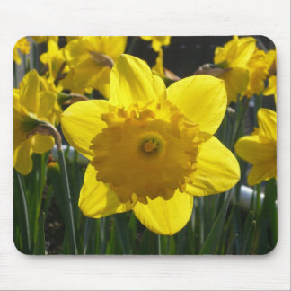 Alfombrilla De Ratón Sunlit Daffodil