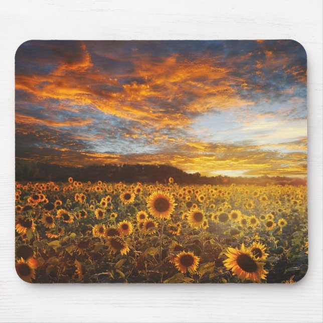 Alfombrilla De Ratón Sunset Sunflowers Field (Frente)