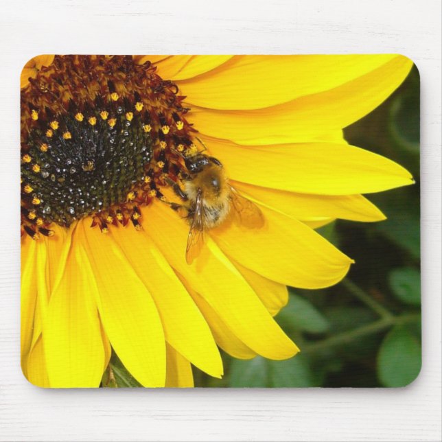 Alfombrilla De Ratón SUNSHINE 4U ~ Mousepad (Frente)