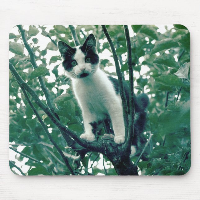 Alfombrilla De Ratón Superfluidad de la nitidez (Frente)