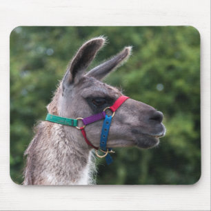 Alfombrilla De Ratón Superior de Llama