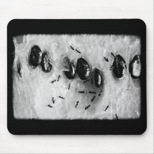 Alfombrilla De Ratón surfear