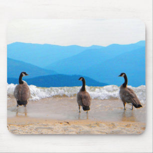 Alfombrilla De Ratón ¡Surf's Up! - Geese