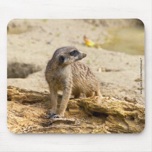 Alfombrilla De Ratón Suricata (Frente)