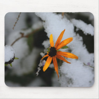 Alfombrilla De Ratón susan observada negro en la primera nieve