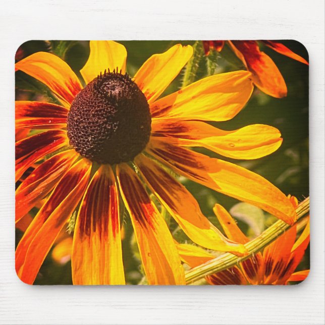 Alfombrilla De Ratón "Susan Ojada Negra" Mousepad (Frente)