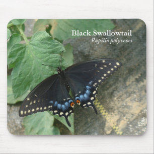Alfombrilla De Ratón Swallowtail negro Mousepad