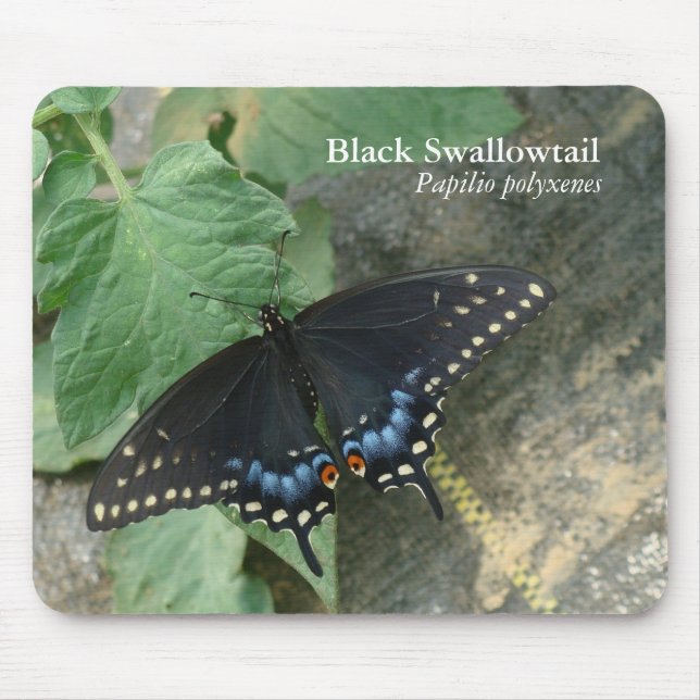 Alfombrilla De Ratón Swallowtail negro Mousepad (Frente)