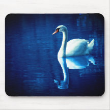 Swan en el lago