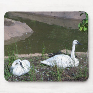 Alfombrilla De Ratón Swans