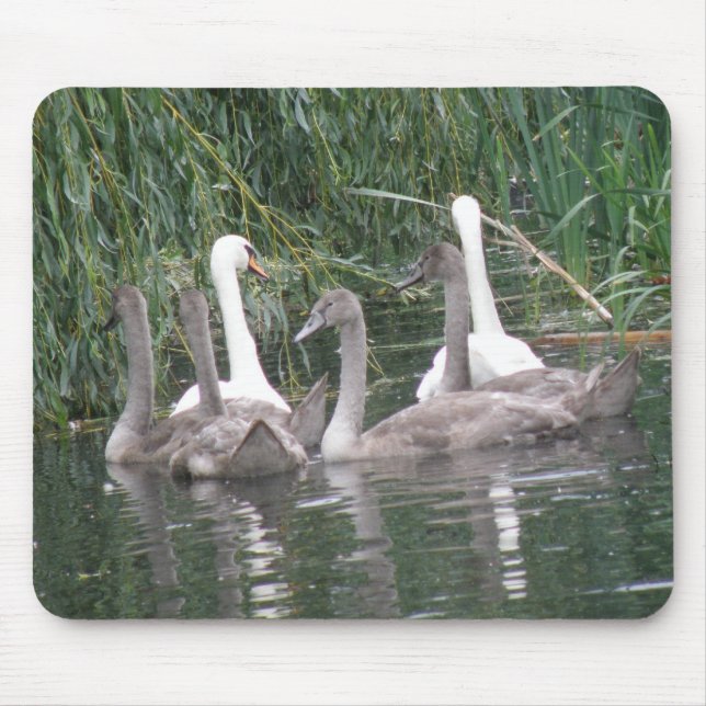 Alfombrilla De Ratón Swans y Cygnets Mousepad (Frente)