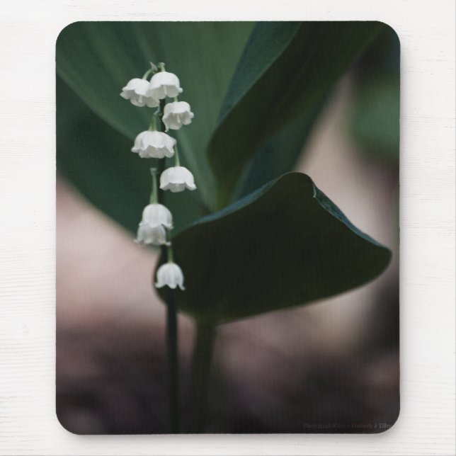 Alfombrilla De Ratón Sweet Bells Mousepad (Frente)