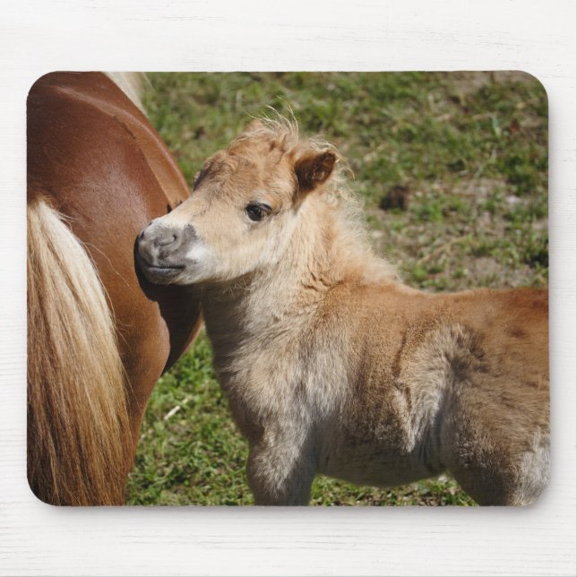 Alfombrilla De Ratón Sweet Haflinger Foal (Frente)
