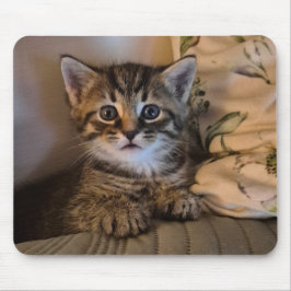 Alfombrilla De Ratón Sweet kitty