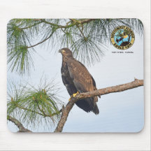 SWFL Eagle Cam Mouse Pad - E23