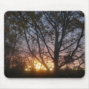 Alfombrilla De Ratón Sycamore Sunrise